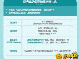 关于DNF夏日套纹章属性详解及价值探讨